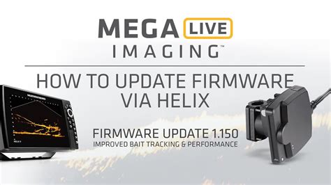 how to update mega live